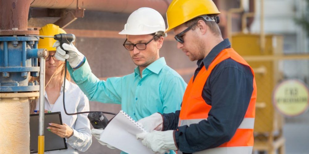 Gaswarngerät und Gaswarnsysteme nach EN 50104 und EN 50271 ATEX